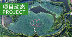 關于中奧股份