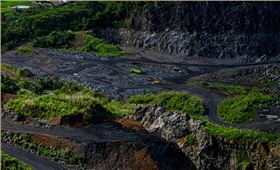 生態修復目的必要性和作用